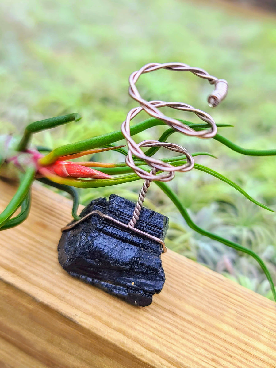 WYSIWYG Black Tourmaline Air Plant Holder with Bulbosa