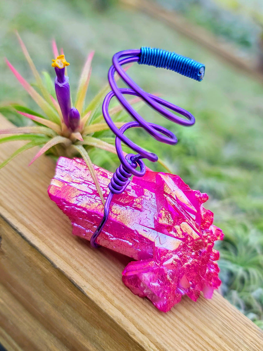 WYSIWYG Pink Aura Quartz Cluster Air Plant Holder with Ionantha Mexican