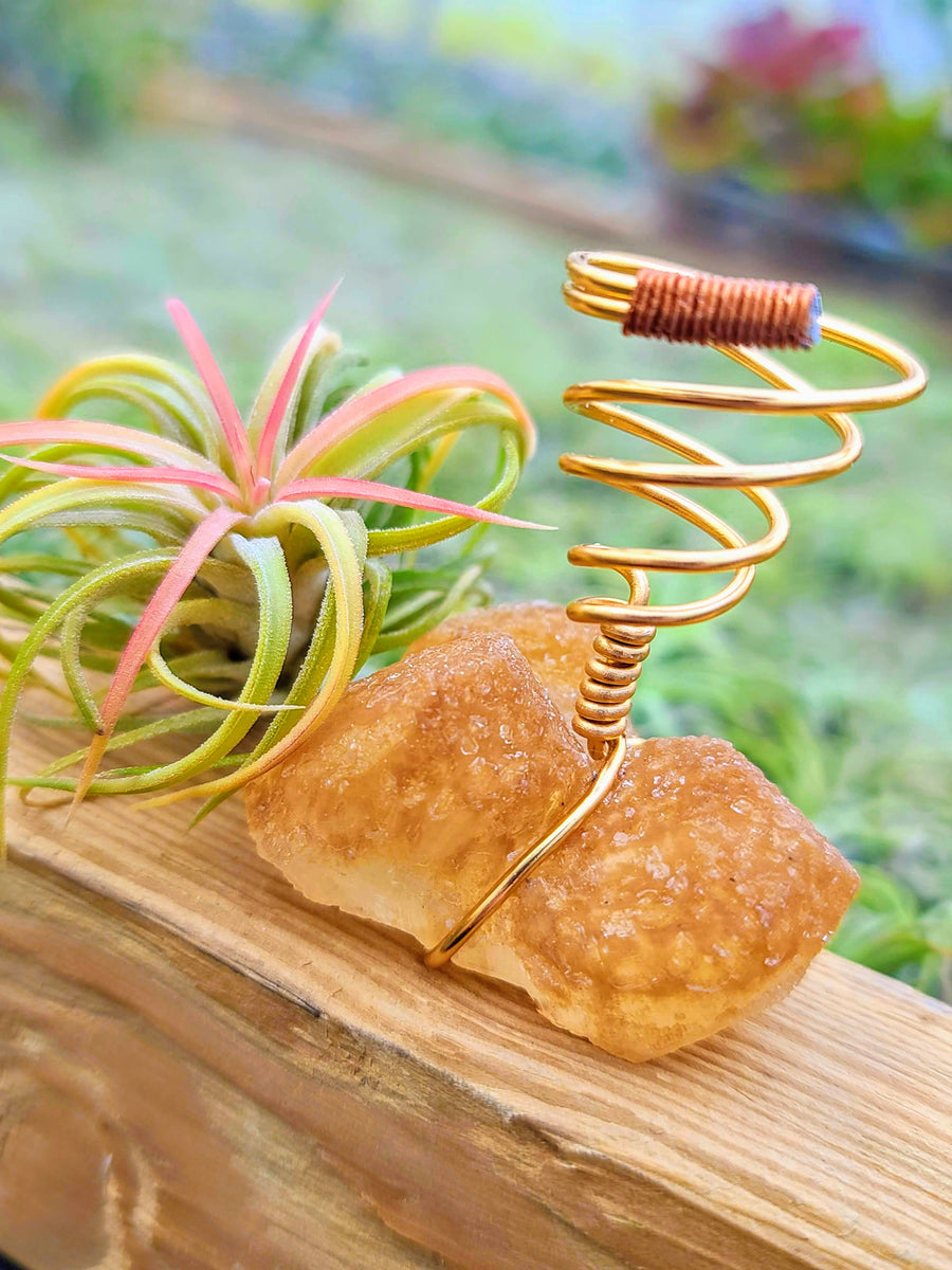 WYSIWYG Orange Calcite Air Plant Holder with Ionantha Mexican