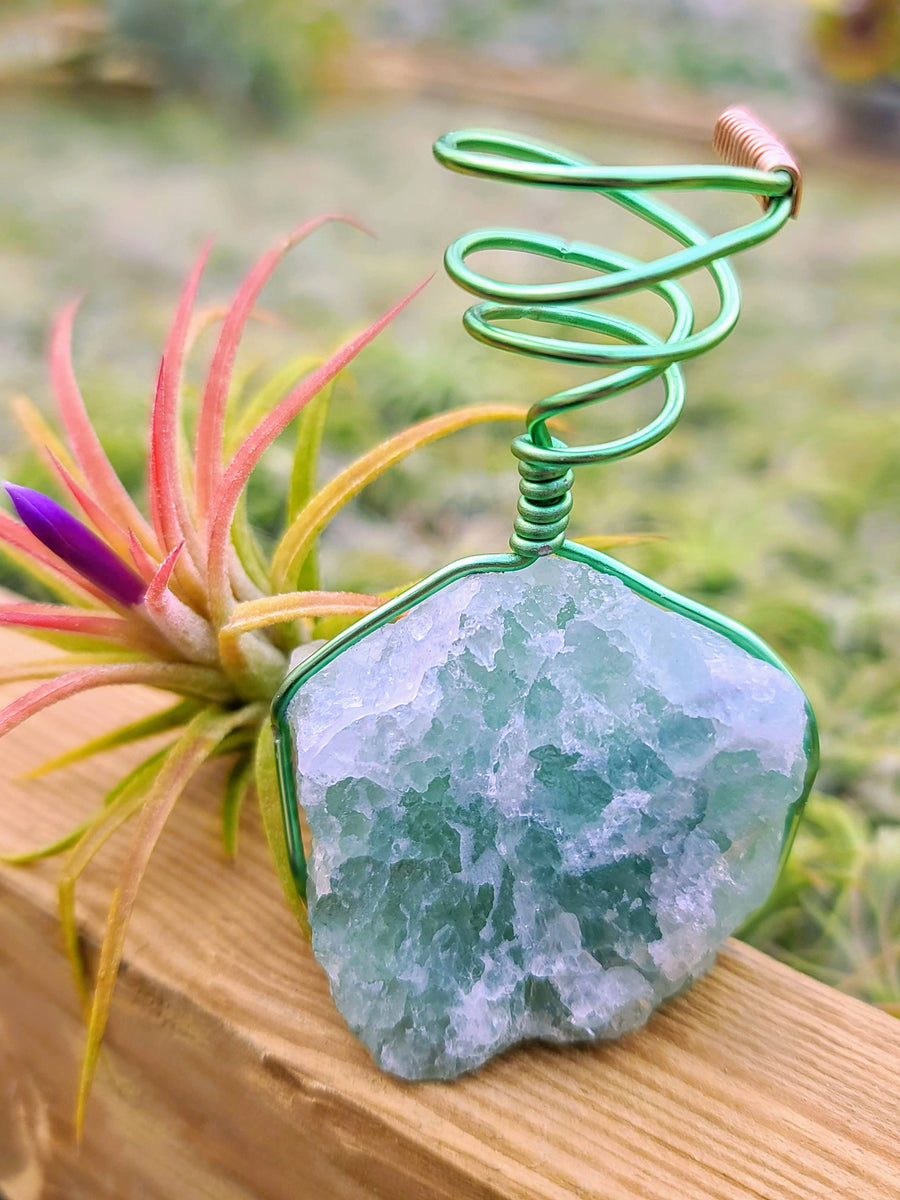 WYSIWYG Fluorite Air Plant Holder with Ionantha Mexican