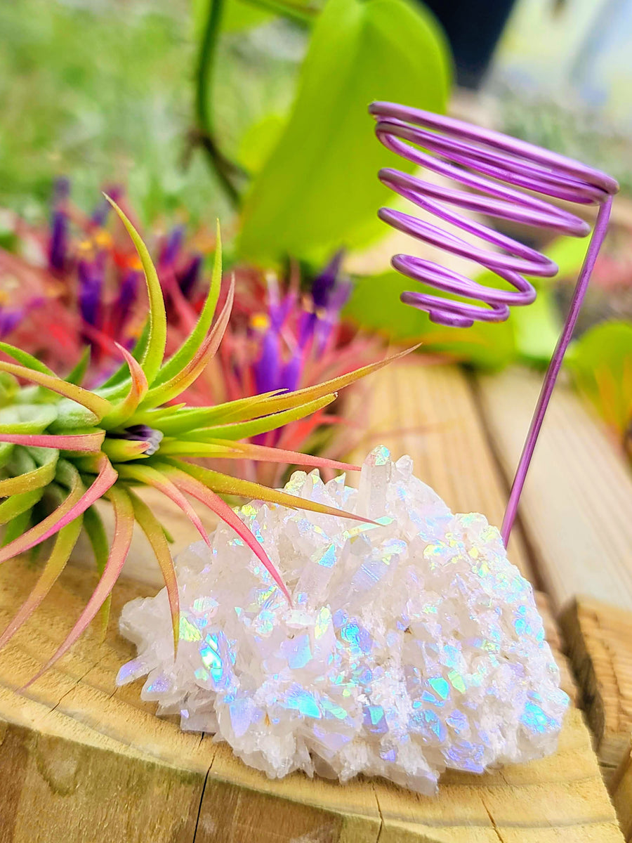 WYSIWYG Aura Quartz Cluster Air Plant Holder with Ionantha Mexican