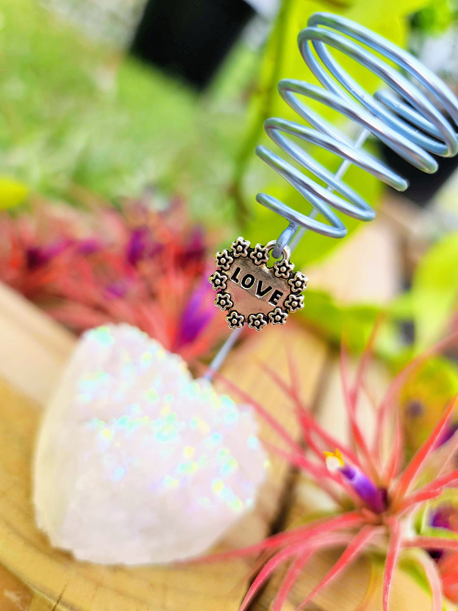 WYSIWYG Aura Quartz Cluster Heart Air Plant Holder with Ionantha Mexican