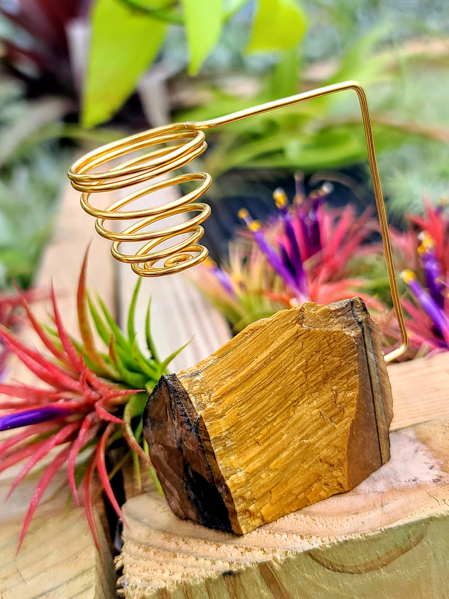 WYSIWYG Tigers Eye Crystal Air Plant Holder with Ionantha Mexican