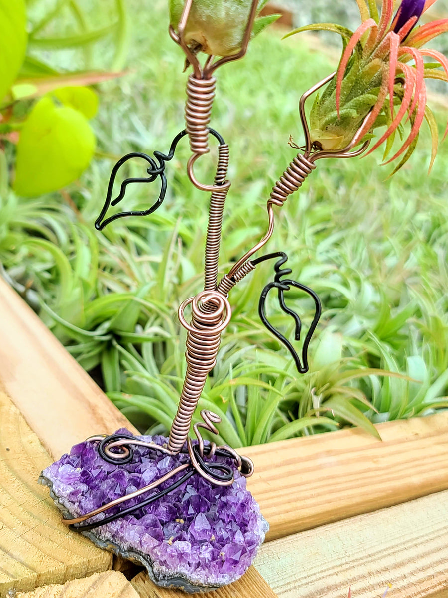 WYSIWYG Amethyst Cluster Air Plant Holder with Ionantha Mexican