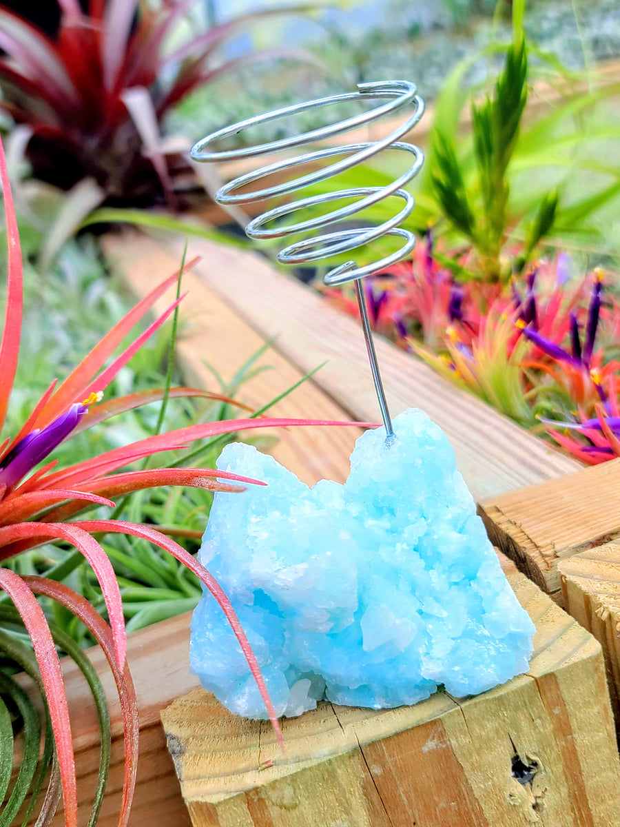 WYSIWYG Blue Aragonite Crystal Air Plant Holder with Victoriana