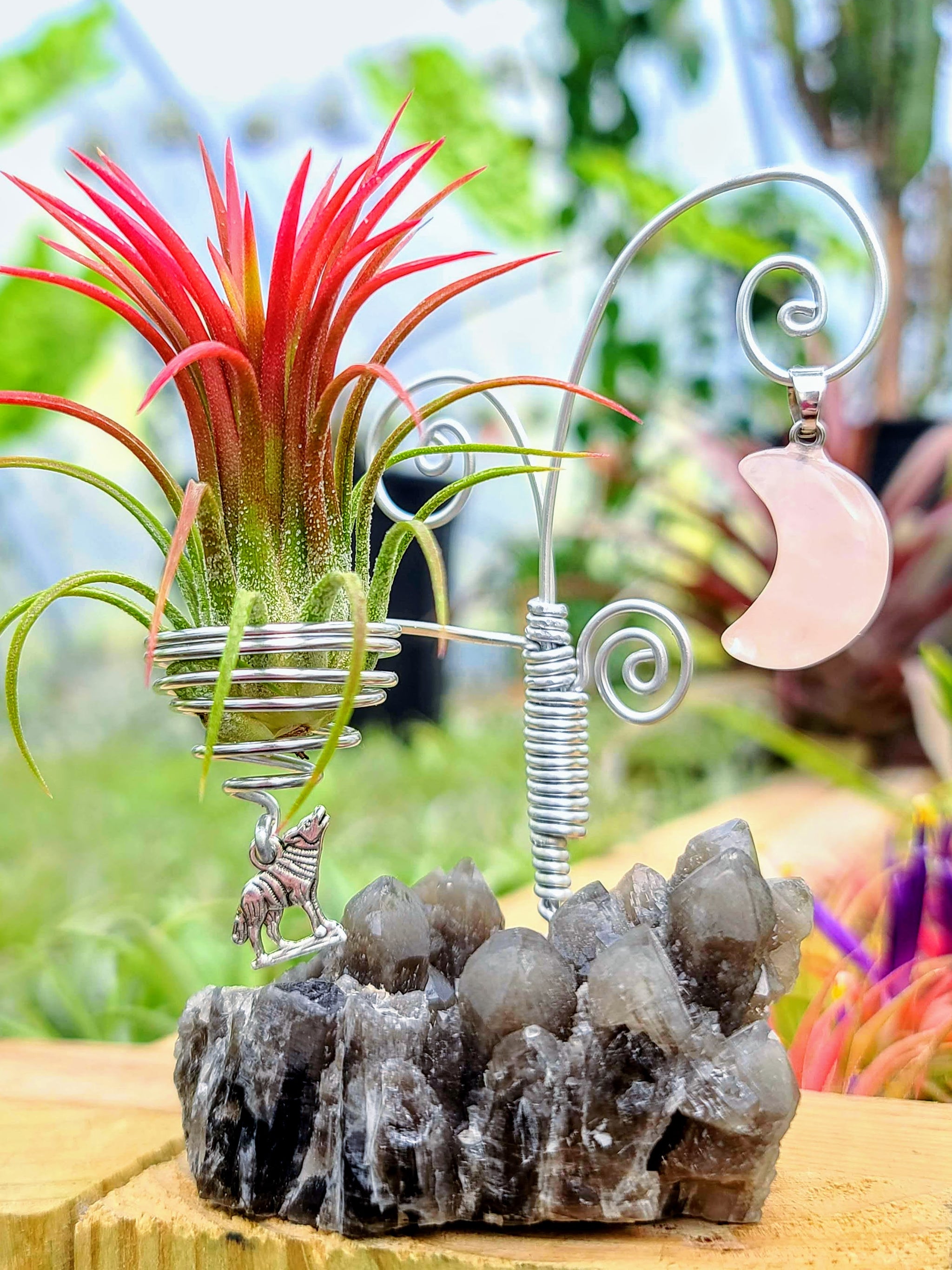 WYSIWYG Smoky Quartz Cluster Air Plant Holder with Fuego
