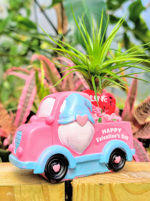 Pink Valentines Gnome Truck