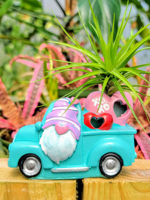 Blue Valentines Gnome Truck