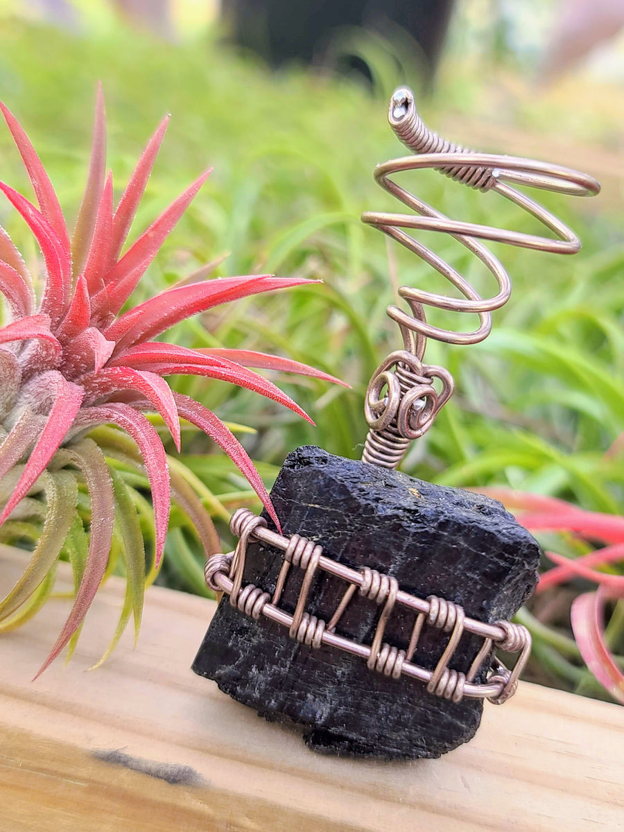 WYSIWYG Black Tourmaline Air Plant Holder with Ionantha Mexican