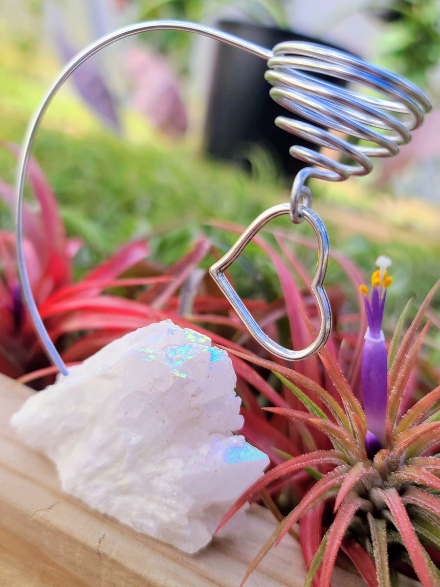 WYSIWYG Aura Quartz Cluster Air Plant Holder with Ionantha Mexican
