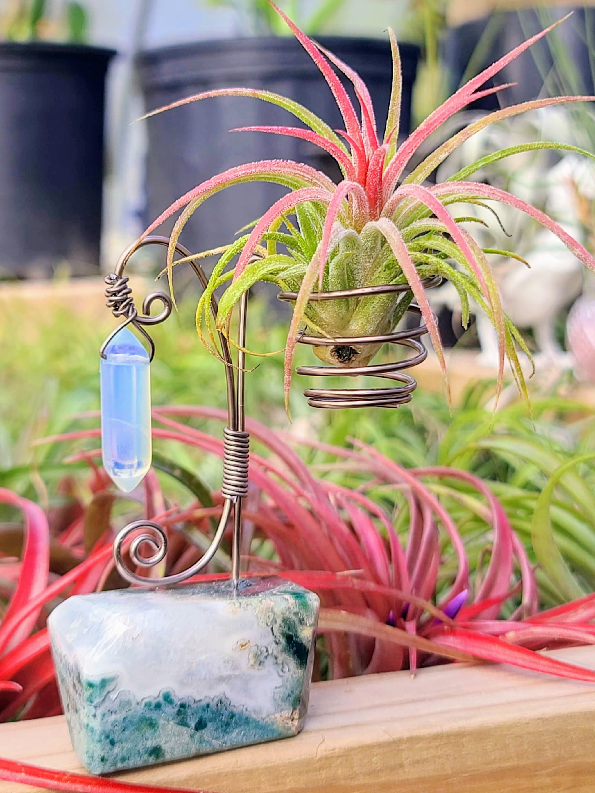 WYSIWYG Moss Agate Crystal Air Plant Holder with Ionantha Mexican