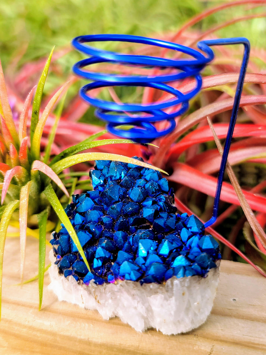 WYSIWYG Blue Aura Quartz Cluster Heart Air Plant Holder with Ionantha Mexican