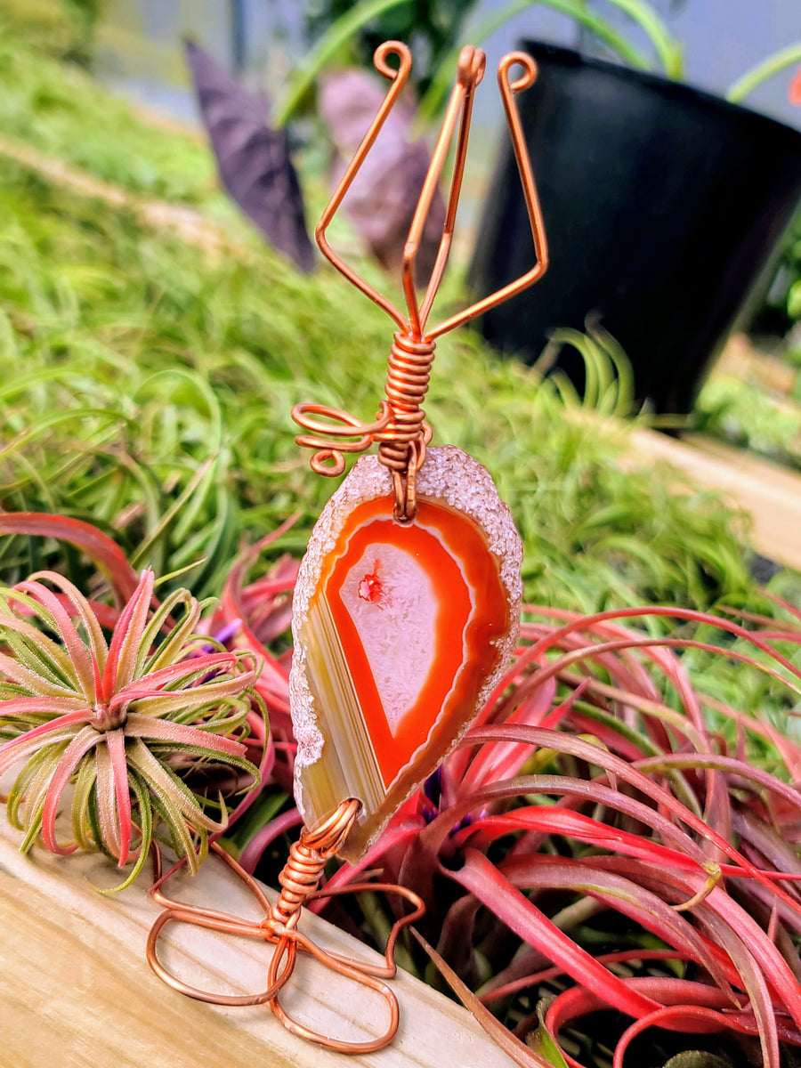 WYSIWYG Agate Crystal Butterfly Air Plant Holder with Ionantha Mexican