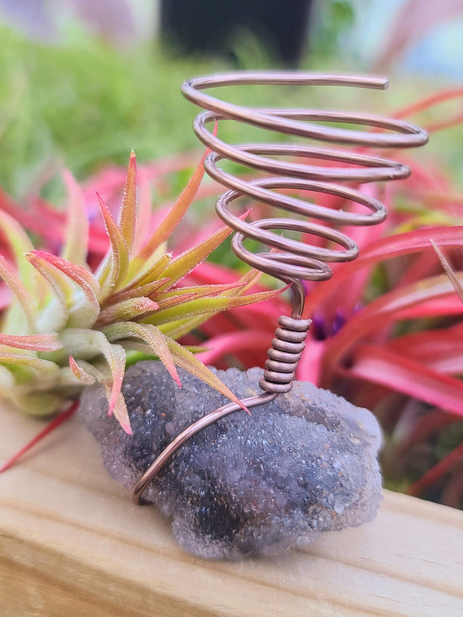 WYSIWYG Sphalerite Air Plant Holder with Ionantha Mexican