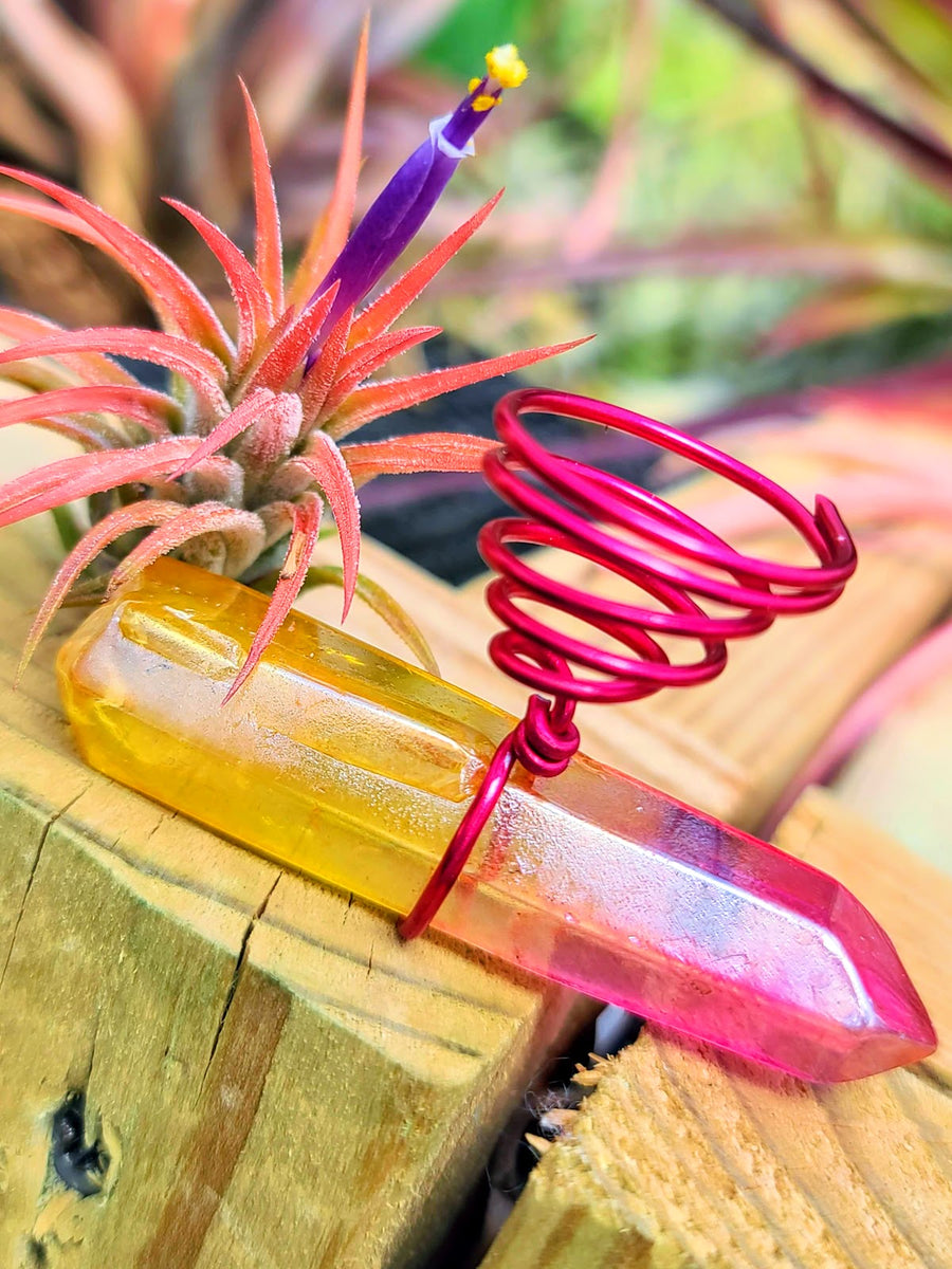 WYSIWYG Sunburst Pink Aura Quartz Point Air Plant Holder with Ionantha Mexican