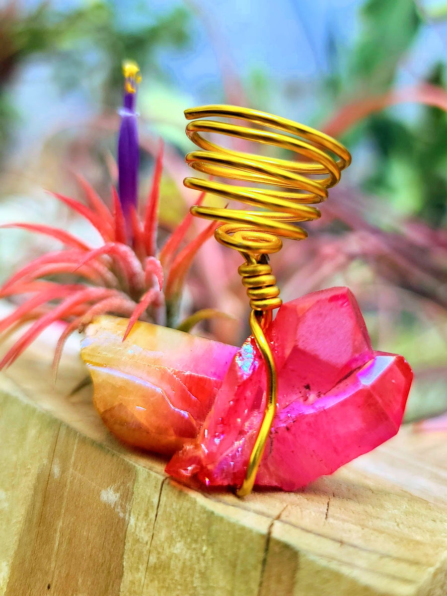 WYSIWYG Sunburst Pink Aura Quartz Air Plant Holder with Ionantha Mexican