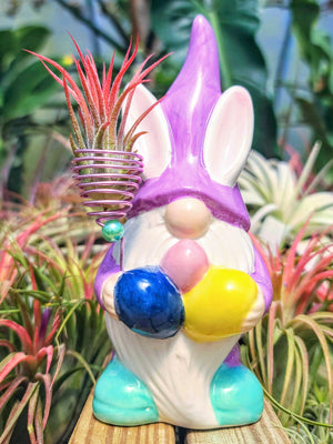 Purple Ceramic Easter Gnome w/ Air Plant