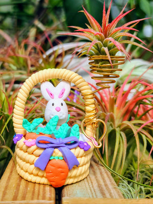 Yellow Easter Bunny Basket w/ Air Plant