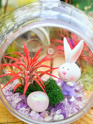 Easter Air Plant Terrarium w/ Amethyst Gravel and Bunny