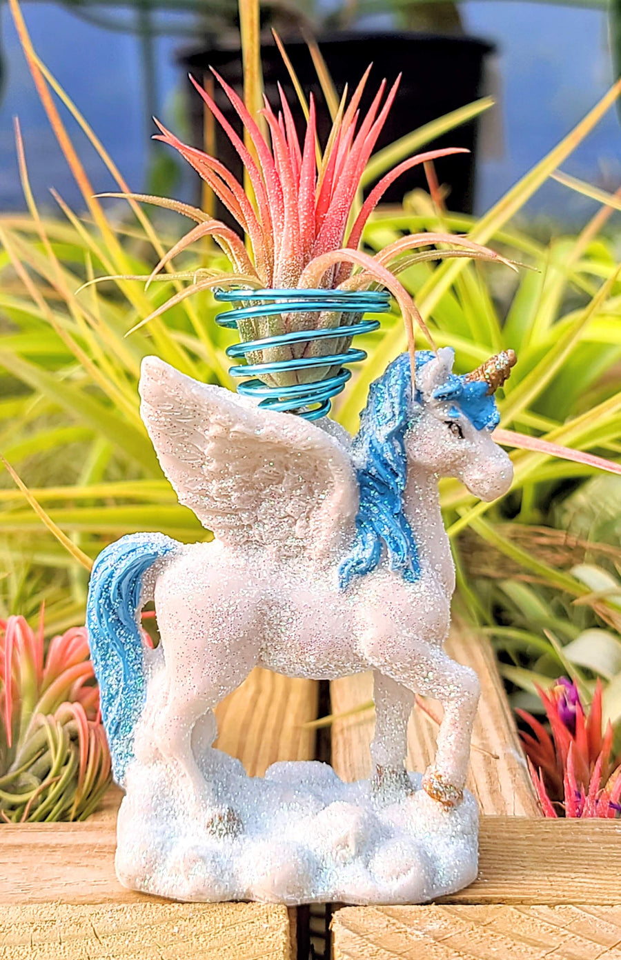 Air Plant Glitter Unicorn Holder with Ionantha Mexican