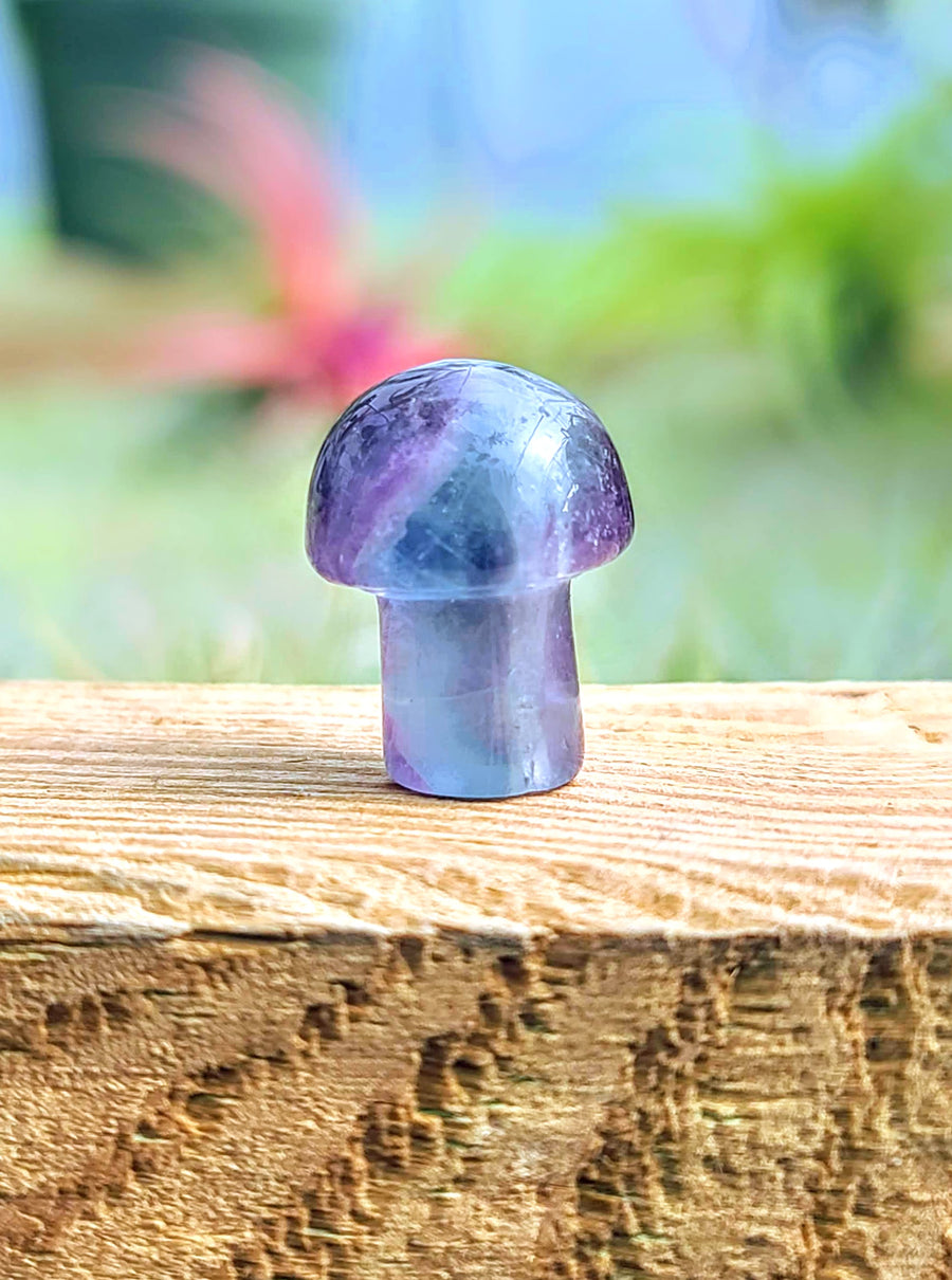 Mini Fluorite Crystal Mushroom