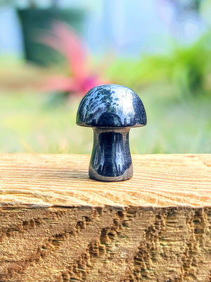 Mini Hematite Crystal Mushroom