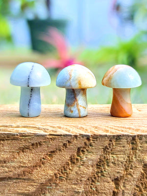 Mini Tianhe Amazonite Crystal Mushroom