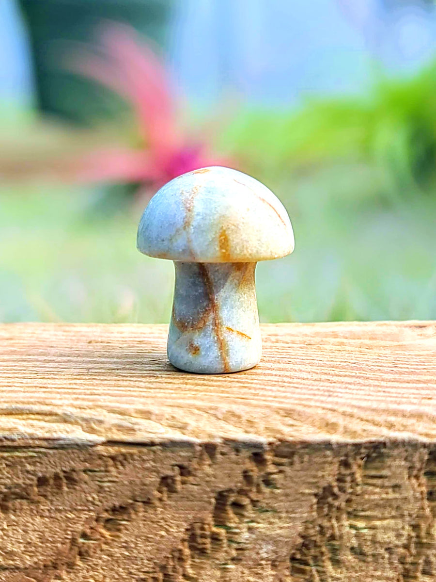 Mini Tianhe Amazonite Crystal Mushroom