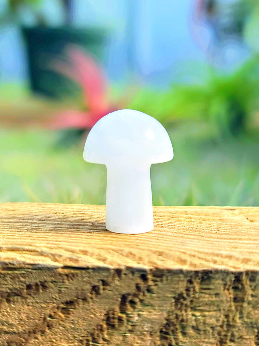 Mini White Quartz Crystal Mushroom