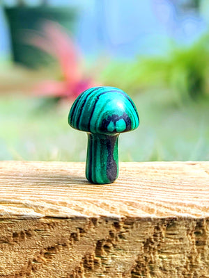 Mini Synthetic Malachite Crystal Mushroom