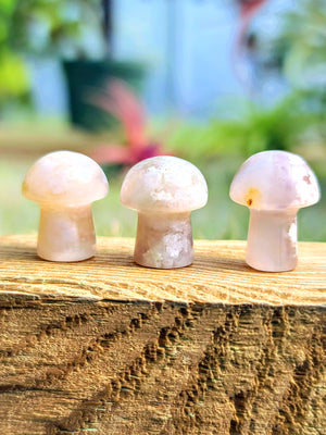 Mini Flower Agate Crystal Mushroom*