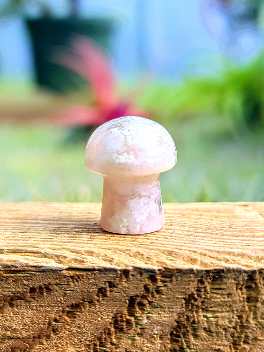 Mini Flower Agate Crystal Mushroom*