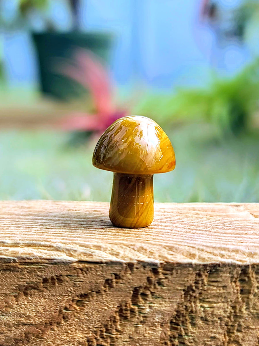 Yellow Ocean Jasper Crystal Mushroom