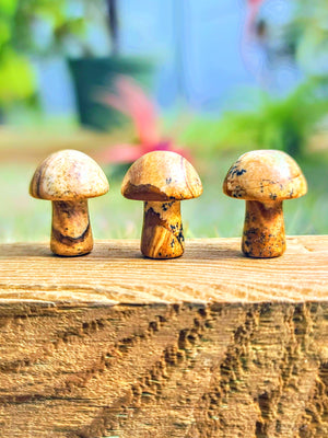 Mini Petrified Wood Crystal Mushroom