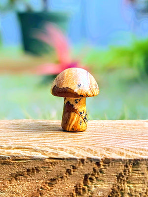Mini Petrified Wood Crystal Mushroom