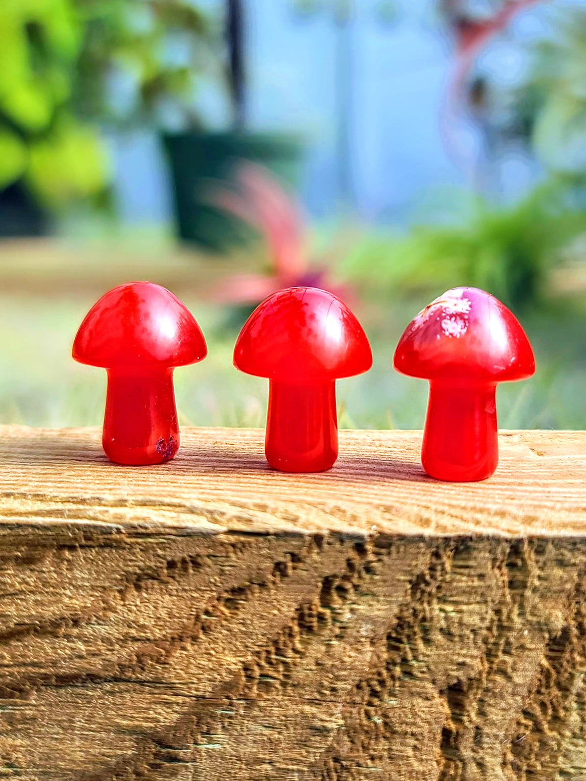 Mini Red Dyed Agate Crystal Mushroom