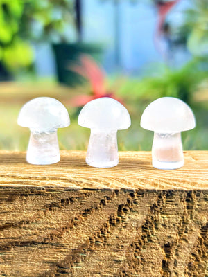 Mini Clear Quartz Crystal Mushroom