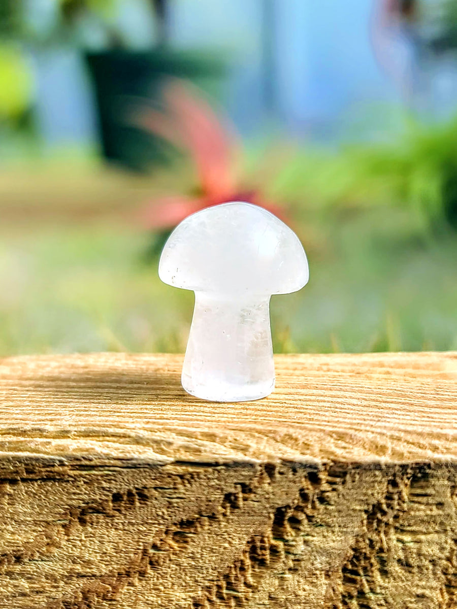 Mini Clear Quartz Crystal Mushroom