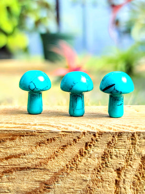 Mini Turquoise Howlite Crystal Mushroom