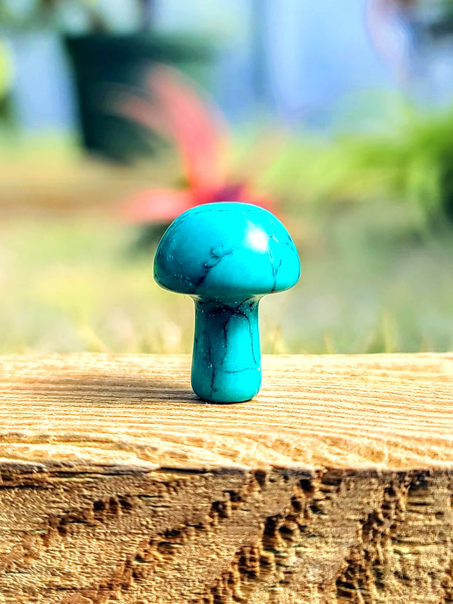 Mini Turquoise Howlite Crystal Mushroom