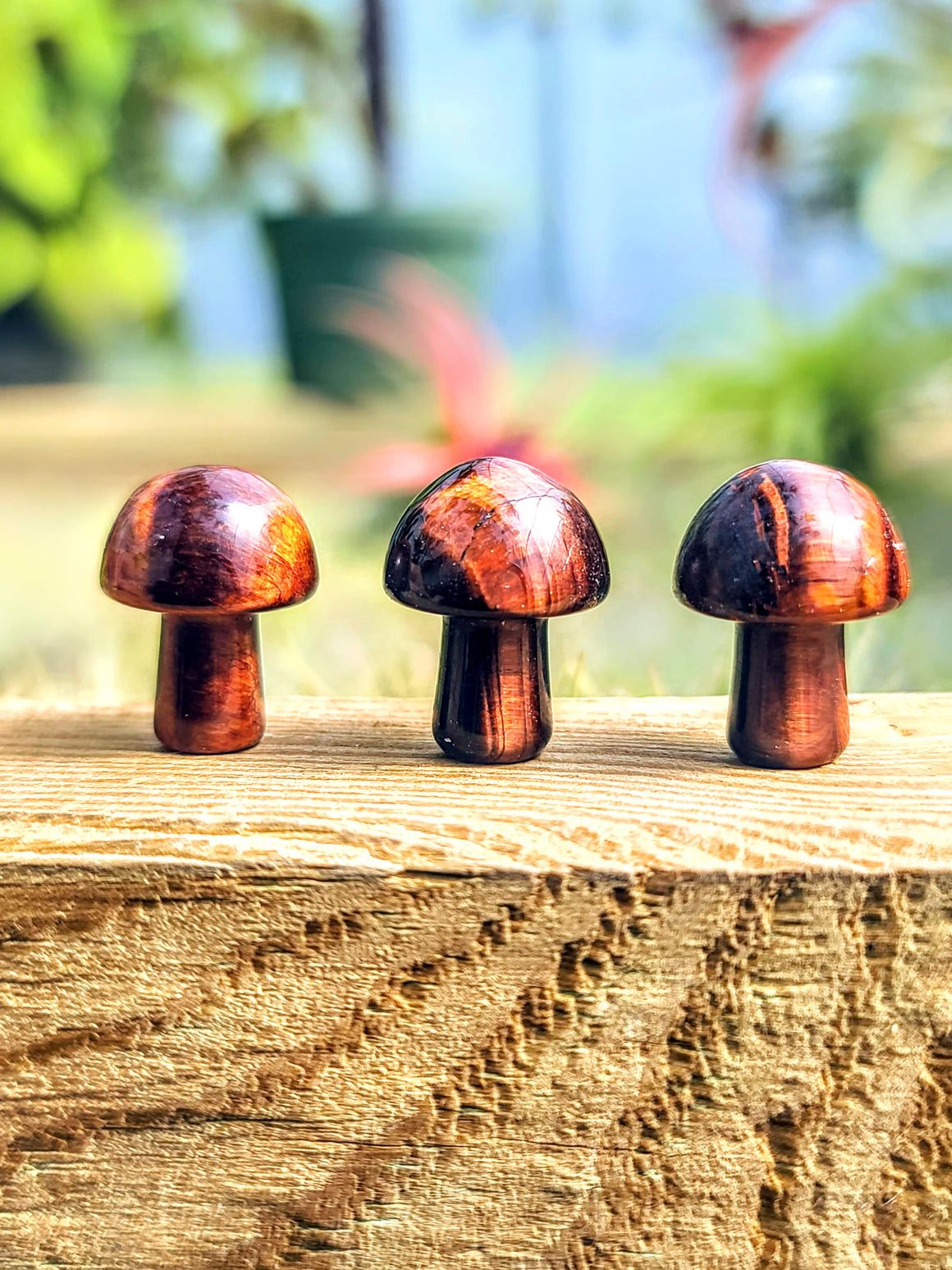 Red Tigers Eye Crystal Mushroom