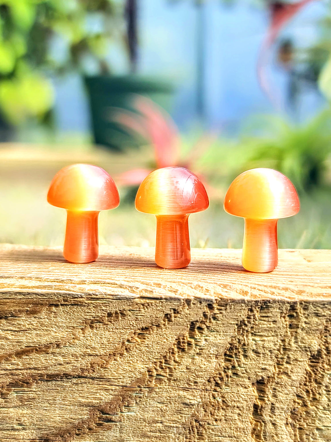 Orange Cats Eye Crystal Mushroom