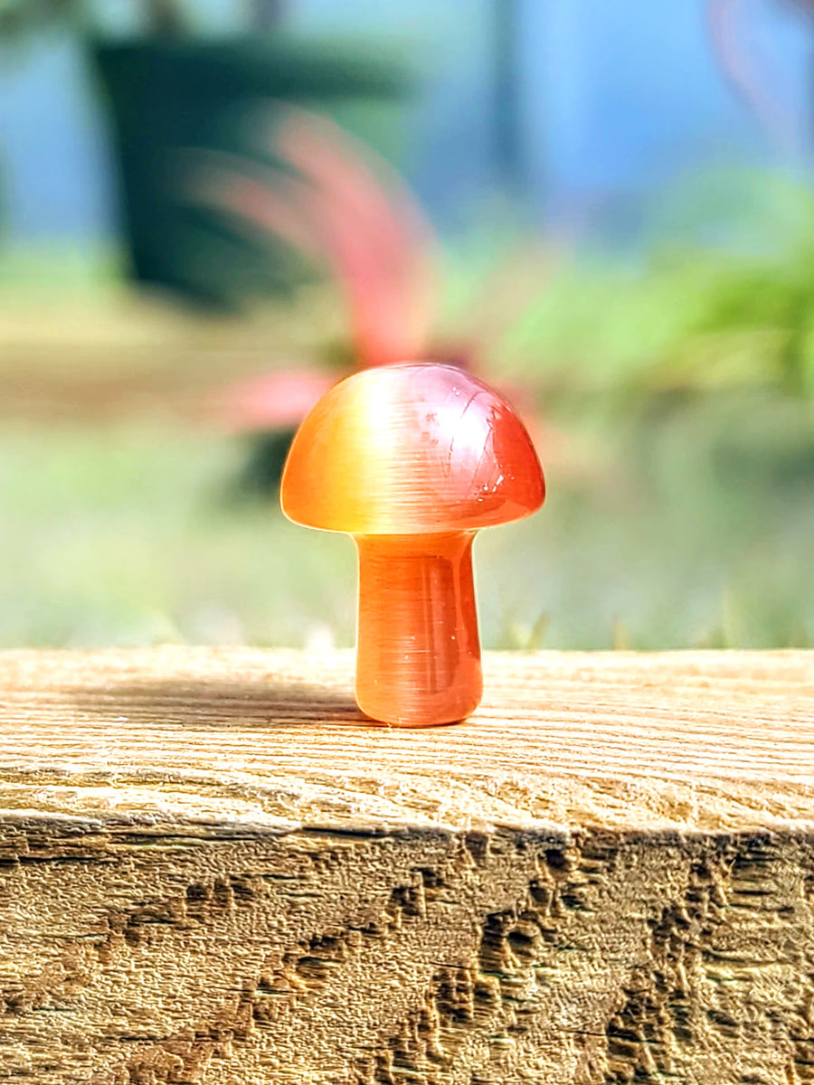 Orange Cats Eye Crystal Mushroom