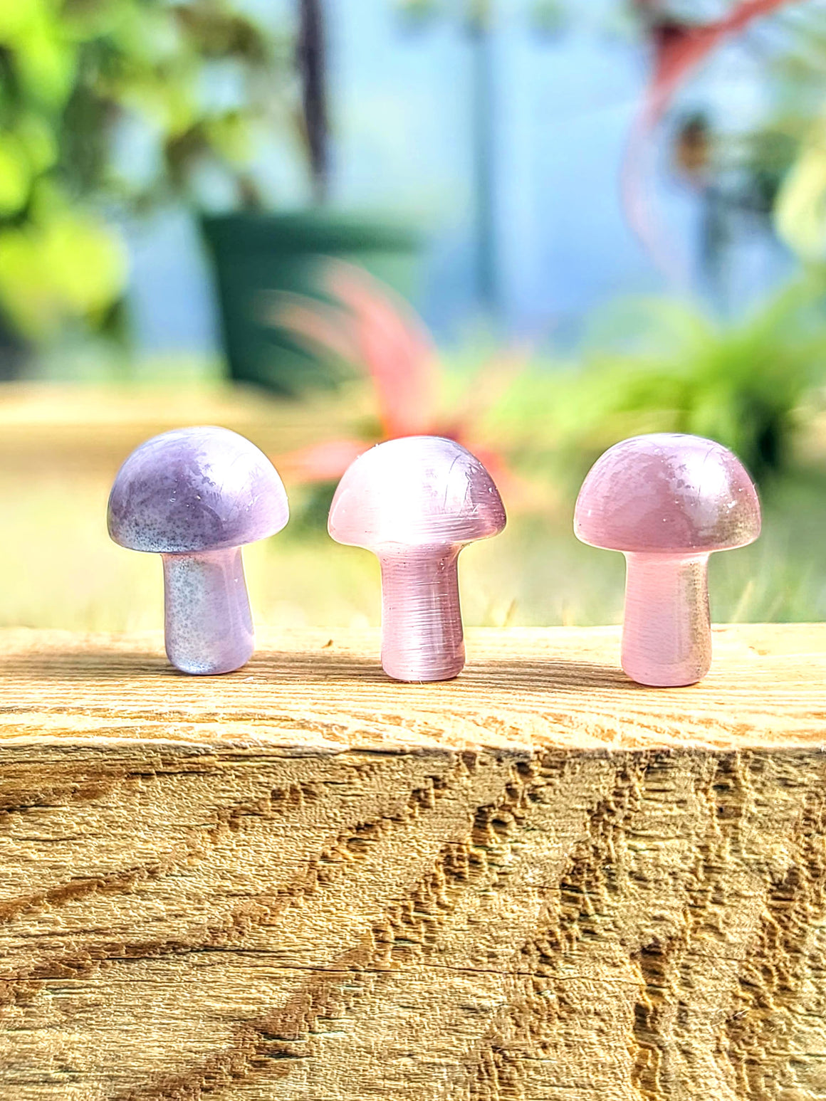 Pink Cats Eye Crystal Mushroom