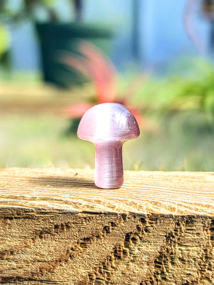 Pink Cats Eye Crystal Mushroom