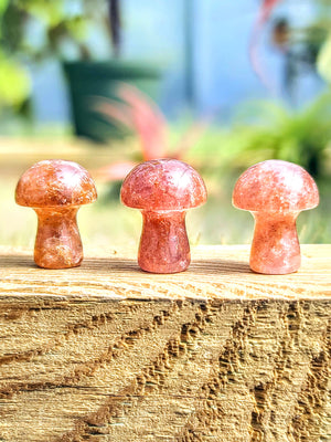 Strawberry Quartz High Quality* Crystal Mushroom