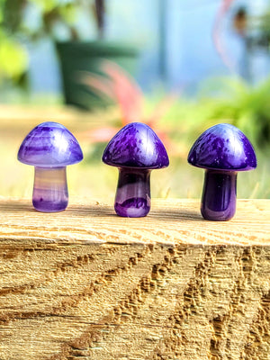 Mini Purple Dyed Agate Crystal Mushroom