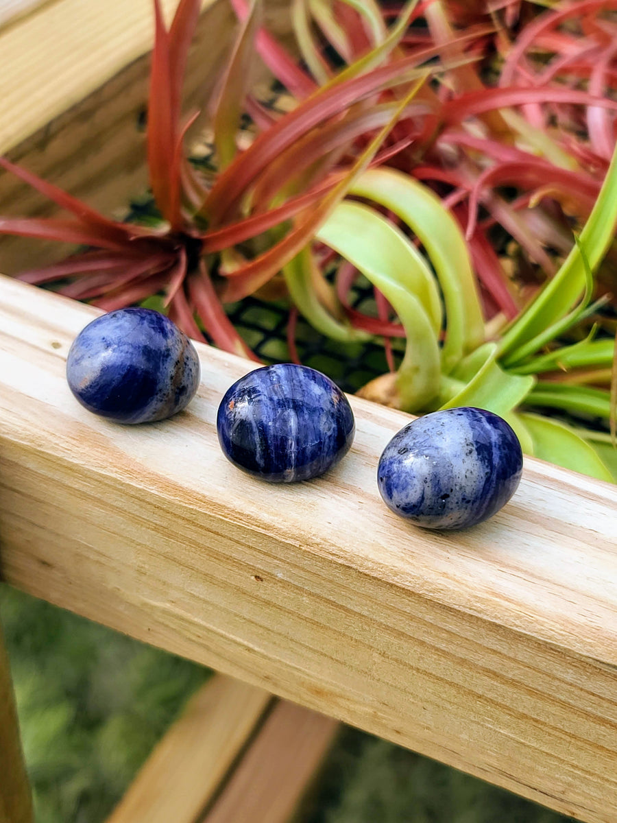 Sodalite Tumble
