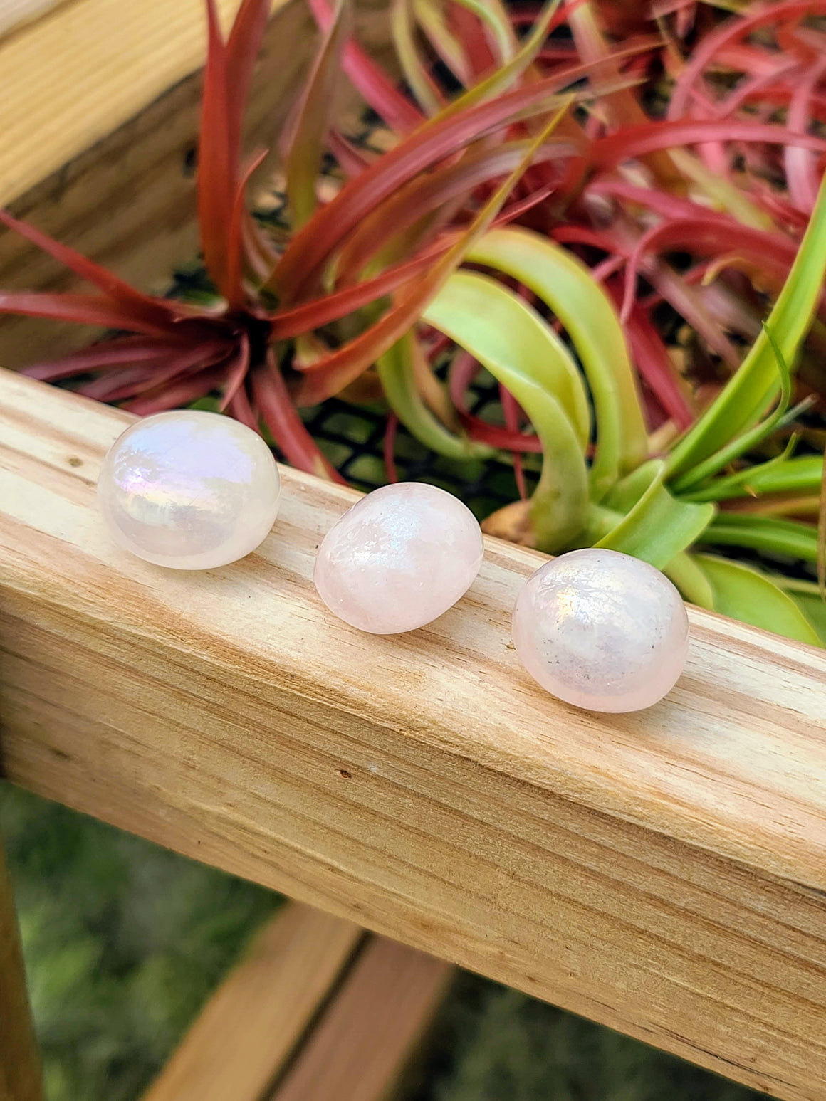 Aura Coated Rose Quartz Tumble