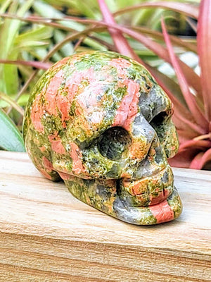 Medium Unakite Skull Carving